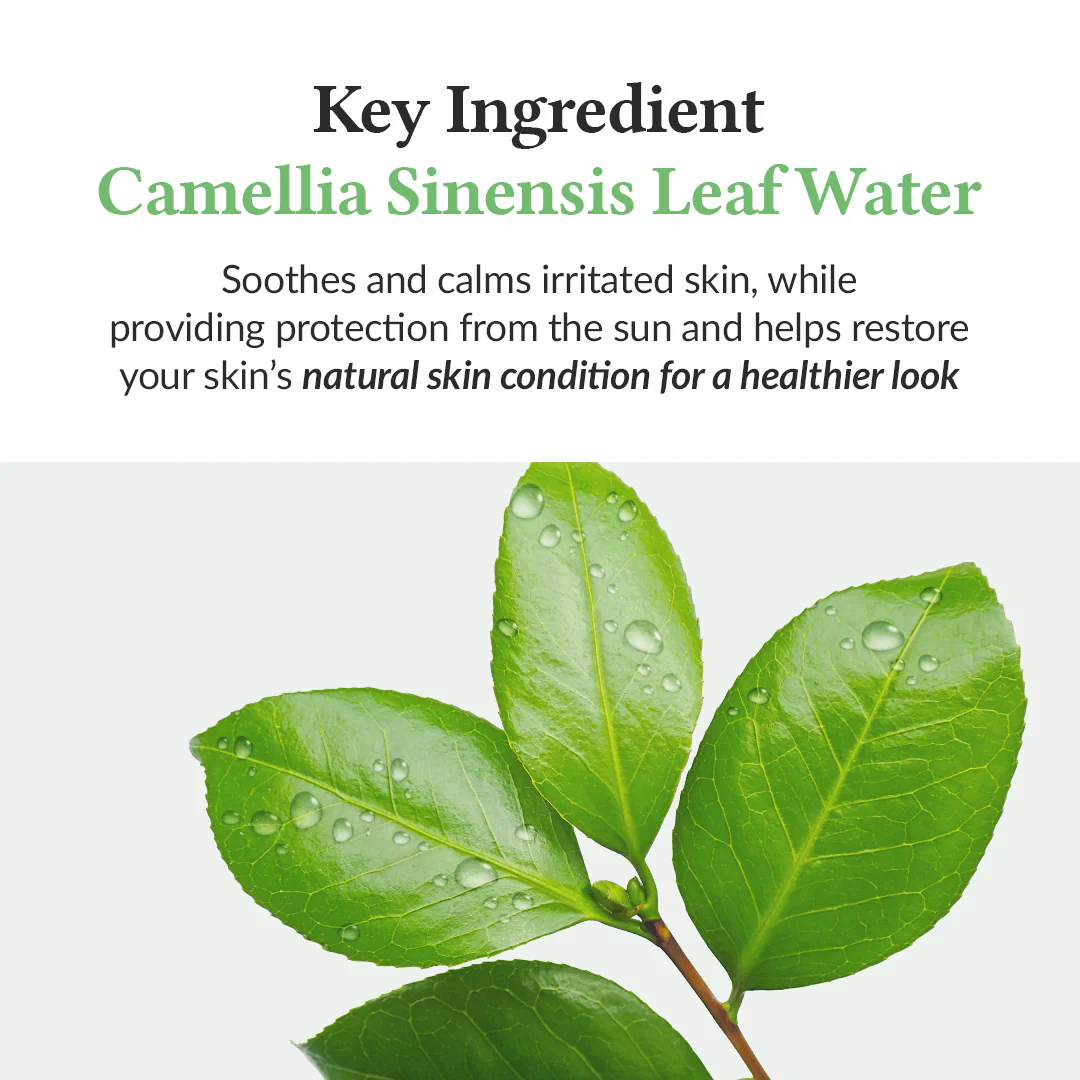 Green Tea Fresh Sunscreen - Image 4